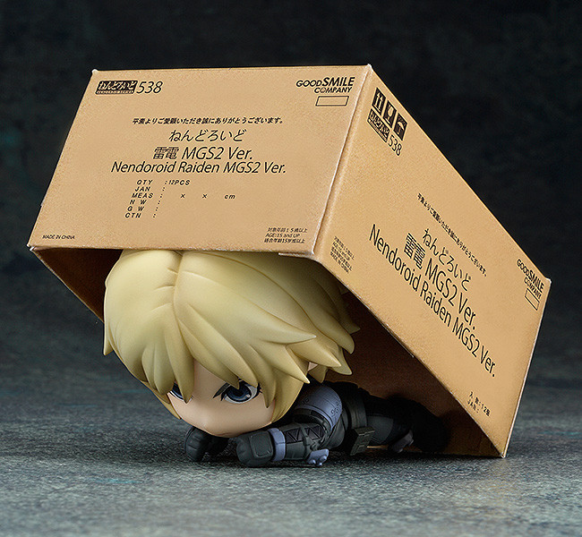 Raiden: MGS2 Ver.