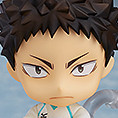 Hajime Iwaizumi (Haikyu!!)